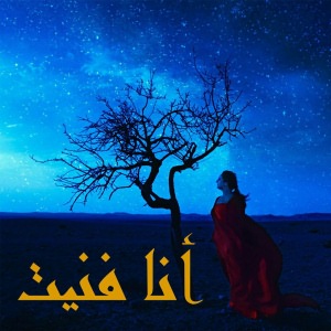 أنا فنيت