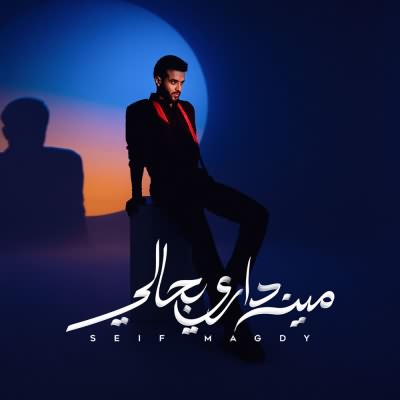 مين دارى بحالى