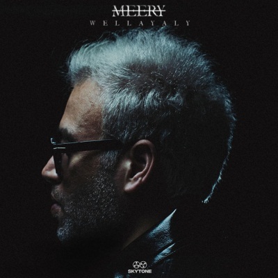 ألبوم والليالي