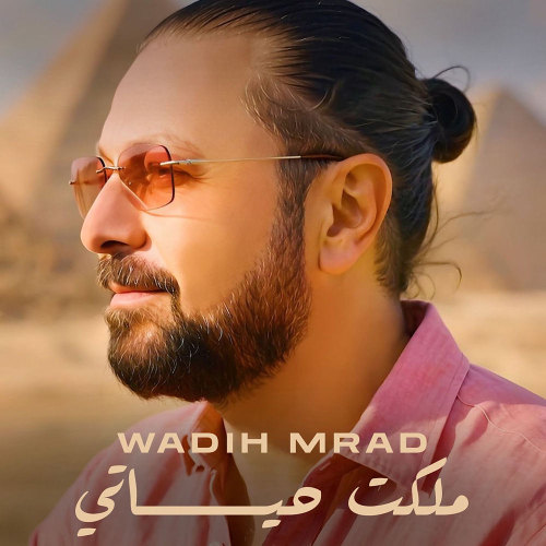 ملكت حياتي